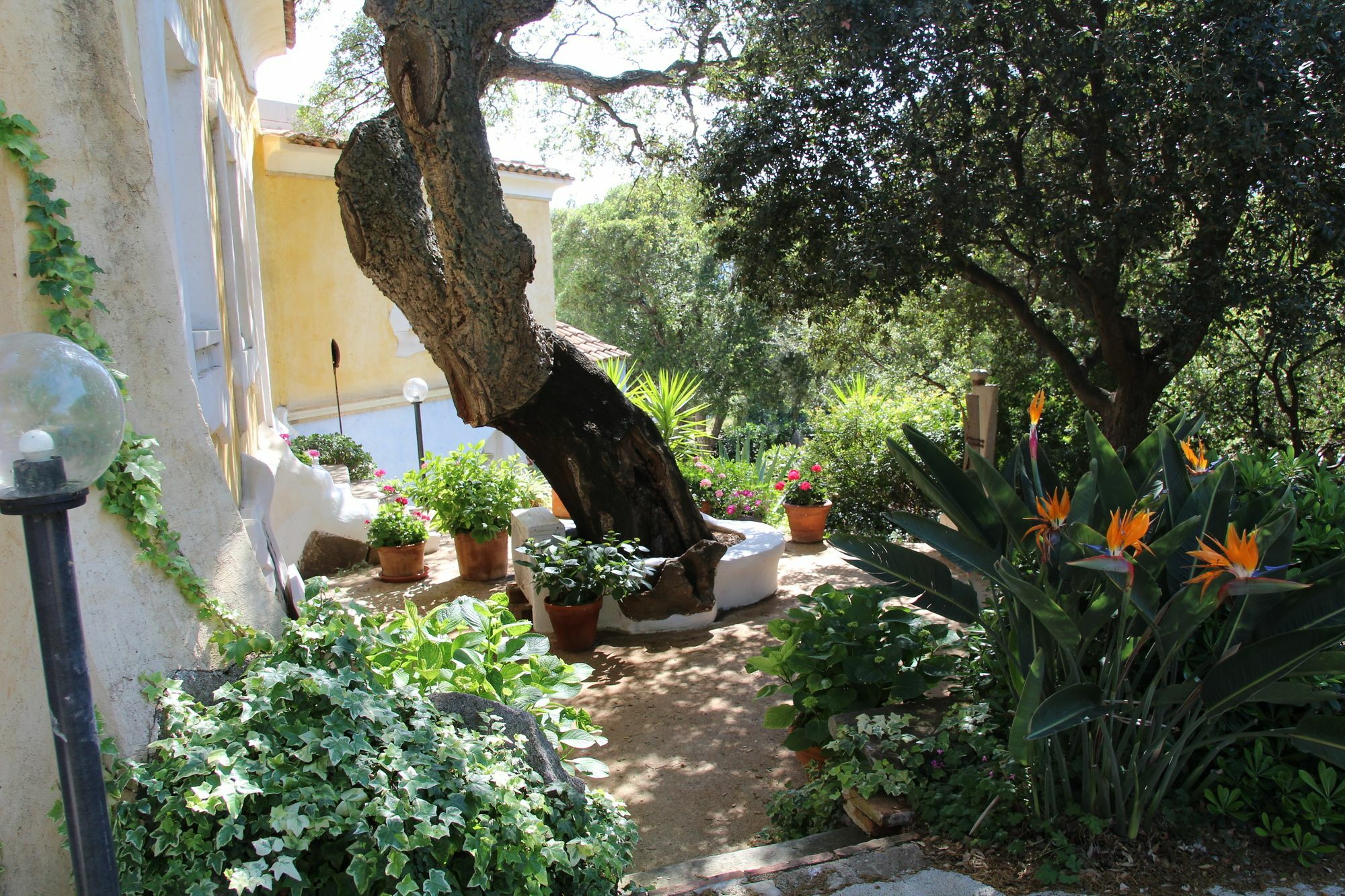 Residenza Di Campagna Seranile Dorgali Exterior photo